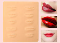 Los labios lavables de la falsificación 3D practican la piel para la práctica del maquillaje de Microblading